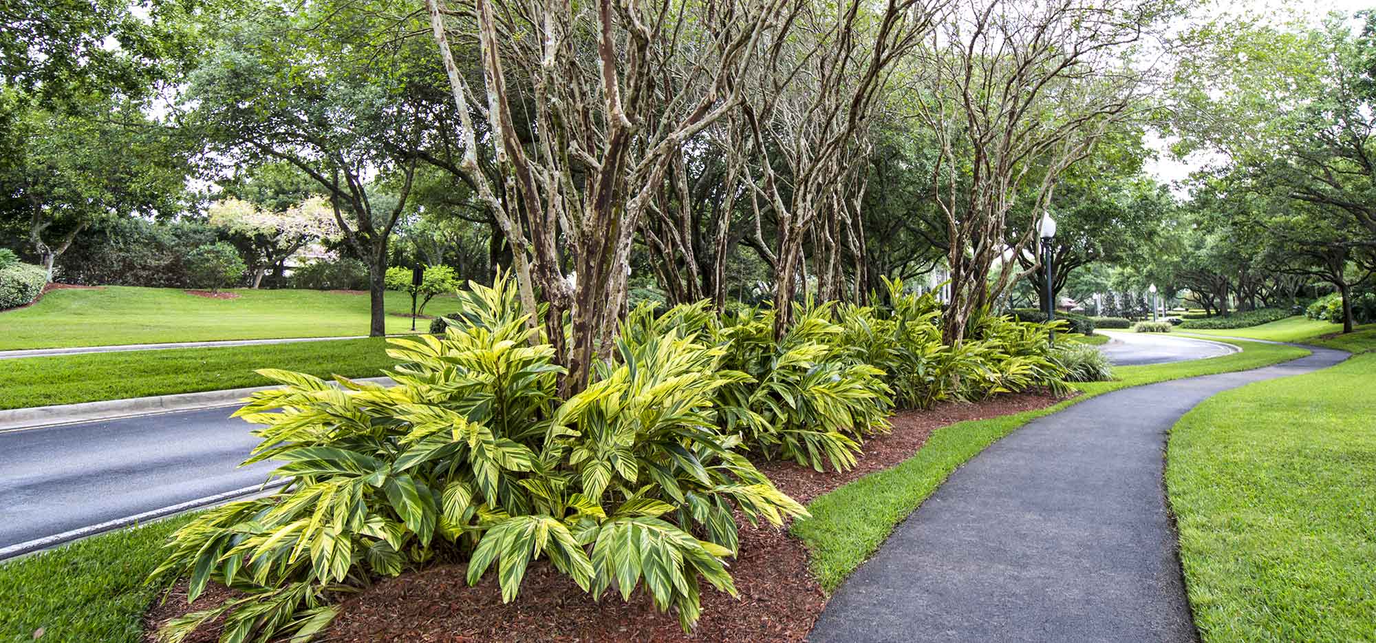 Mainguy landscape crew at work
